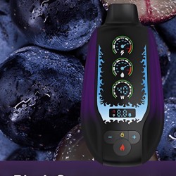 سحبة مزاج اس اس SS الجاهزة 20000 بف عنب اسود