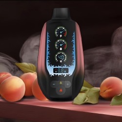 سحبة مزاج اس اس SS الجاهزة 20000 بف خوخ 