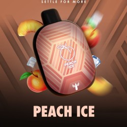 سحبة بينك بانثر 5500 بف خوخ ايس